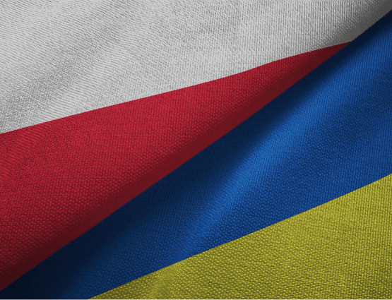 ITDS_UCRANIA